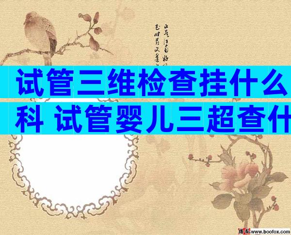 试管三维检查挂什么科 试管婴儿三超查什么